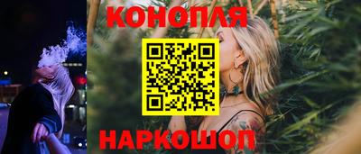 СК Дубна